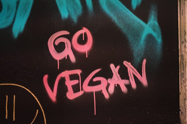 Barrette proteiche vegane